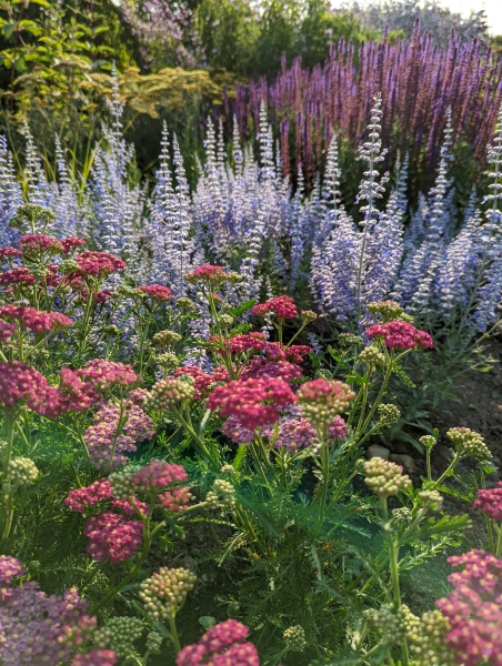 Glenholme Herbs